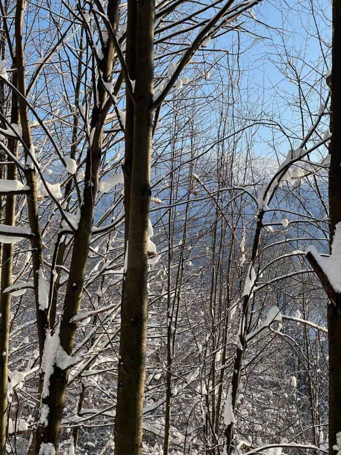 Apartament Kurort Kozubnik - Taras Nad Potokiem Porąbka Eksteriør bilde